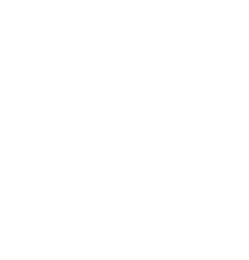 css icon